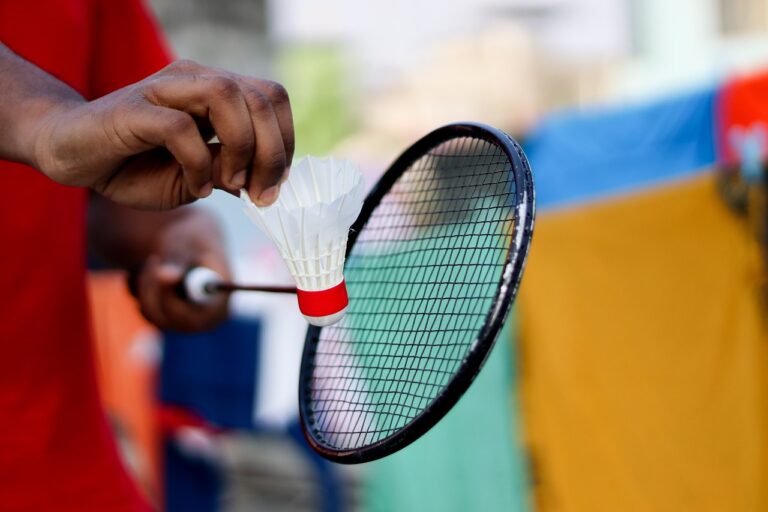 Investigating the Impact of Cricket on Tourism in the Indian Subcontinent
