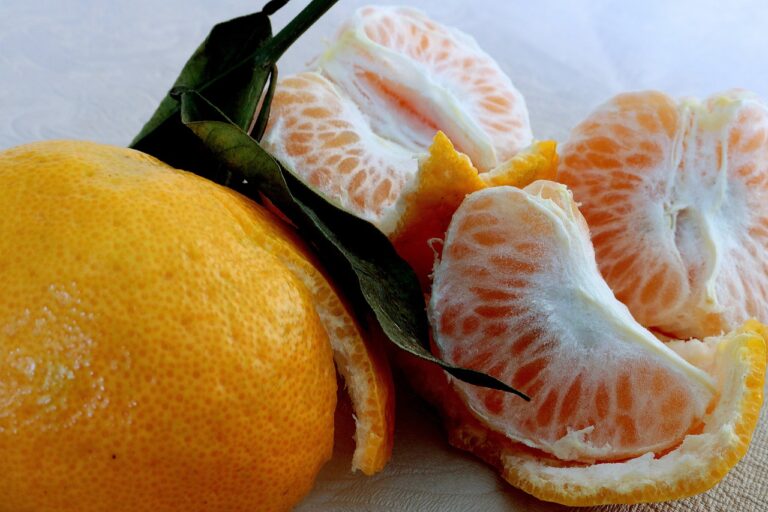 Breaking Down the Science of Intermittent Fasting