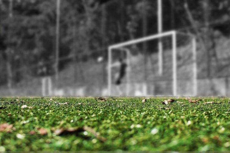 IPL’s Role in Promoting Social Inclusion and Diversity: Case Studies and Best Practices