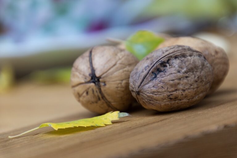 The Psychology of Habits: How to Make Healthy Choices Stick